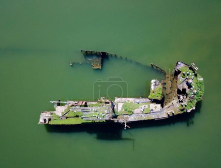 Foto de Sydney Shipwreck in Parramatta river with green backgroun - Imagen libre de derechos