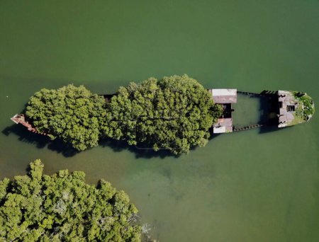 Téléchargez les photos : Sydney shipwreck in Parramatta river with green background. - en image libre de droit