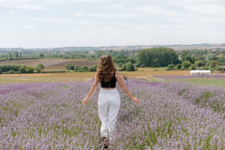Photo for Running through the fields of an English lavender field - Royalty Free Image