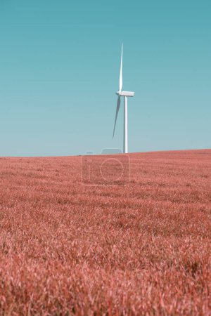 Téléchargez les photos : Wind turbine for the production of renewable electricity on a meadow - en image libre de droit