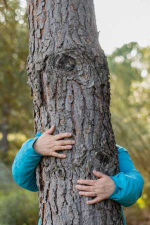 Photo for Woman hugging a tree in the forest - Royalty Free Image