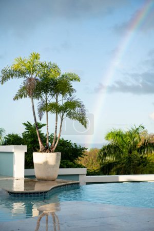 Afternoon rainbow over a pool and palm tree in Puerto Rico