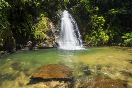 Téléchargez les photos : Belle vue sur la cascade verte de la forêt tropicale atlantique dans la réserve écologique de Salto Morato, Guaraqueaba, Paran, Brésil - en image libre de droit