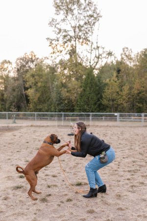 Foto de Boxer Mix Dog dando cinco altos dobles en un parque de perros - Imagen libre de derechos