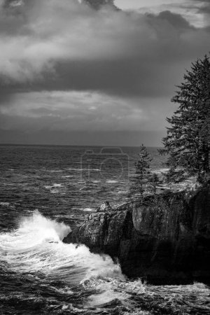 Téléchargez les photos : Épopées du paysage océanique de la côte de Washington - en image libre de droit
