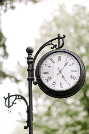 Téléchargez les photos : Horloge de rue dans le parc naturel - en image libre de droit