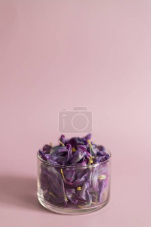 Photo for Purple dried tulip petals in glass jar - Royalty Free Image