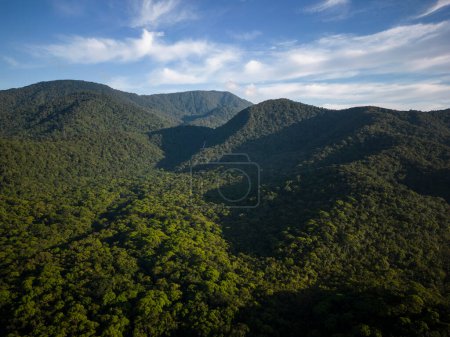 Foto de Hermosa vista aérea a las verdes montañas de la selva tropical en el área de Guaraqueaba, Paran, Brasil - Imagen libre de derechos
