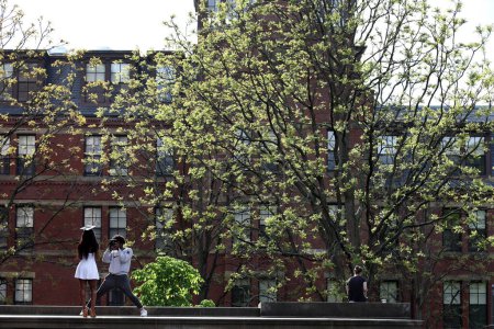 Téléchargez les photos : Photographe prenant une photo de sa petite amie, jour de la remise des diplômes à l'université Harvard - en image libre de droit