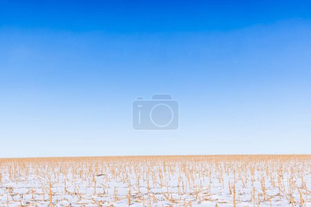 Photo for Cornfield in Kansas covered in snow, minimal composition - Royalty Free Image