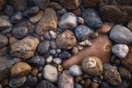 Foto de Formas rocosas en la playa. - Imagen libre de derechos