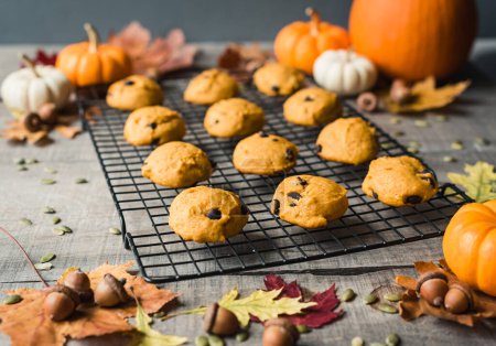Photo for Pumpkin chocolate chip cookies on a wire cooling rack with fall decor. - Royalty Free Image