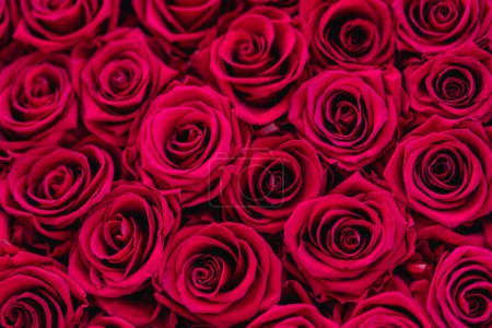 Foto de Rosas rojas fondo amor romántico - Imagen libre de derechos