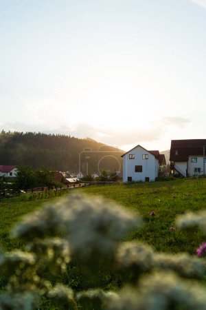 Foto de La casa en una colina rodeada de naturaleza y flores - Imagen libre de derechos