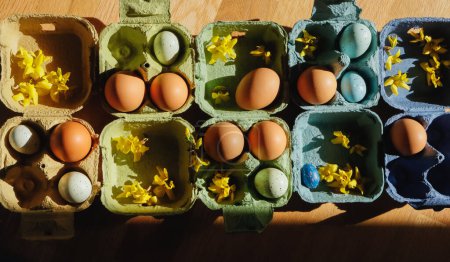Foto de Huevos de Pascua en cajas coloridas - Imagen libre de derechos