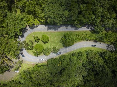 Photo for Beautiful aerial view to sharp turn on road in green rainforest mountains, Guaraqueaba area, Paran, Brazil - Royalty Free Image