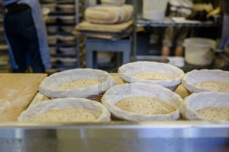 Photo for Prepared bread dough sits in baskets ready to be baked in oven - Royalty Free Image