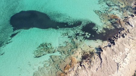 Téléchargez les photos : Aerial view from drone of a natural paradise beach in the mediterranean, with crystal clear water and white sand. calamillor, Mallorca, Balearic Islands - en image libre de droit