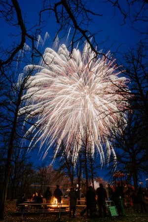 Foto de Ver fuegos artificiales en un parque para celebrar el Día de Canadá - Imagen libre de derechos
