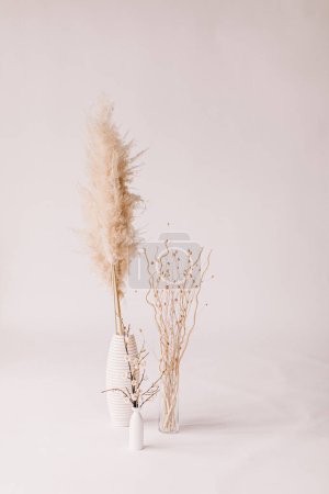 Photo for All white floor and wall with three vases of neutral pampas grass - Royalty Free Image