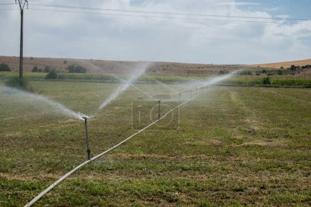 Téléchargez les photos : Arroseurs de champ d'eau dans une journée d'été - en image libre de droit