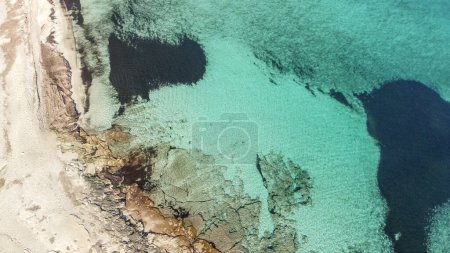 Foto de Aerial view from drone of a natural paradise beach in the mediterranean, with crystal clear water and white sand. calamillor, Mallorca, Balearic Islands - Imagen libre de derechos