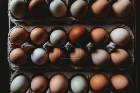 Téléchargez les photos : Plan ci-dessus d'œufs rustiques colorés dans la cour arrière - en image libre de droit