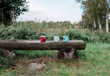 Foto de Tazas de chocolate caliente en un banco de madera fuera para una familia - Imagen libre de derechos