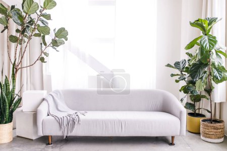 Foto de Sala de estar luminosa y limpia con plantas altas y sofá gris - Imagen libre de derechos