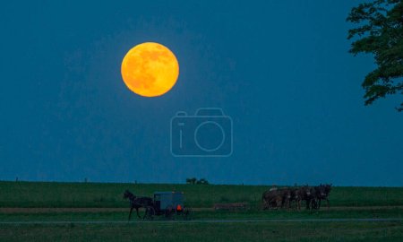 Foto de Amish buggy y luna llena. - Imagen libre de derechos