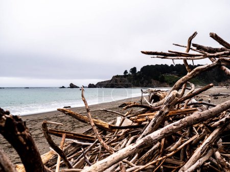 Téléchargez les photos : Bois flotté dispersé sur la plage avec l'océan en arrière-plan - en image libre de droit