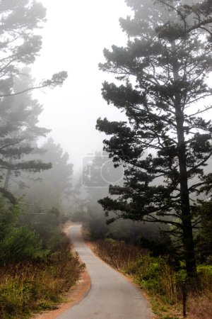 Foto de Sendero de senderismo que conduce al paisaje nublado de la mañana - Imagen libre de derechos
