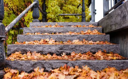 Photo for Colourful autumn and fall leaves on stone steps in Sweden - Royalty Free Image