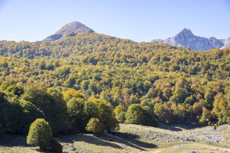 Photo for Sunny valley in Abruzzo national park in autumn, Italy - Royalty Free Image