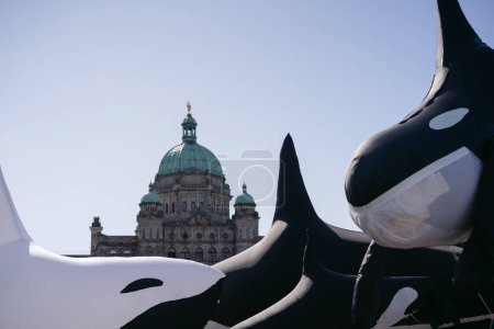 Foto de Explotar orcas y edificio del gobierno - Imagen libre de derechos