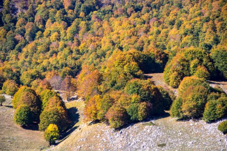 Téléchargez les photos : Vallée ensoleillée dans le parc national des Abruzzes en automne, Italie - en image libre de droit