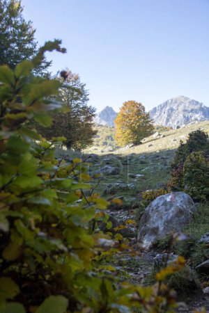 Photo for Sunny valley in Abruzzo national park in autumn, Italy - Royalty Free Image
