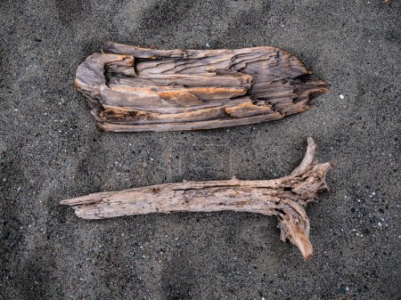 Foto de Dos trozos de madera a la deriva en la arena en la playa de Mendocino, Ca - Imagen libre de derechos