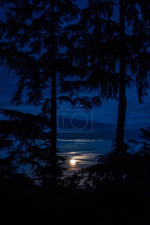 Téléchargez les photos : Pacifique Nord-Ouest lever de lune de l'île de Lopez - en image libre de droit