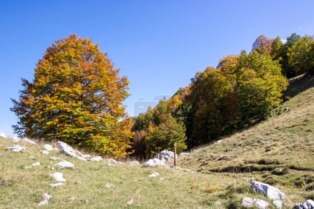 Téléchargez les photos : Vallée ensoleillée dans le parc national des Abruzzes en automne, Italie - en image libre de droit