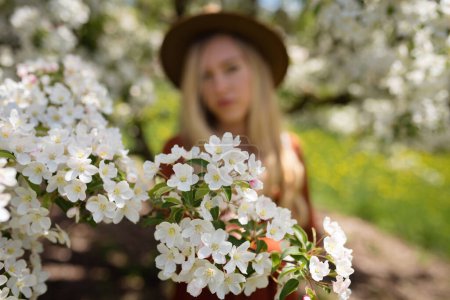 Téléchargez les photos : Poire de printemps blanche Fleurs sur l'arbre avec jeune femme en arrière-plan - en image libre de droit