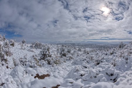 Foto de Paisaje cubierto de nieve en una mañana de invierno en Chino Valley Arizona. Tomado en marzo de 2023. - Imagen libre de derechos
