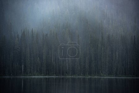 Téléchargez les photos : Une vue sur le lac avec brouillard - en image libre de droit