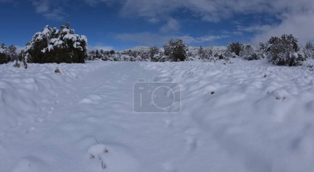 Foto de Camino cubierto de nieve en una mañana de invierno en Chino Valley Arizona. Tomado en marzo de 2023. - Imagen libre de derechos