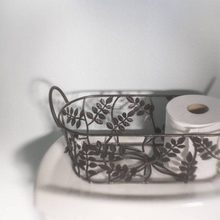 Téléchargez les photos : Rouleau de papier hygiénique à l'arrière des toilettes dans le placard à eau - en image libre de droit