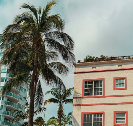 Téléchargez les photos : Palmiers devant un immeuble Miami Beach - en image libre de droit