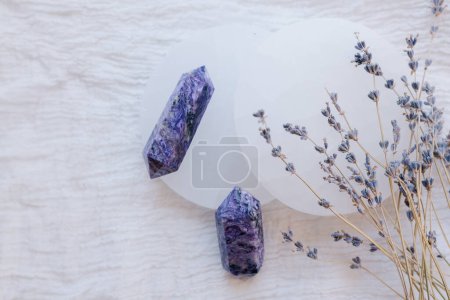 Foto de Cristales púrpuras y tallos de lavanda para primavera fresca - Imagen libre de derechos