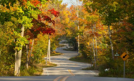 Photo for Fall colors on winding road. - Royalty Free Image