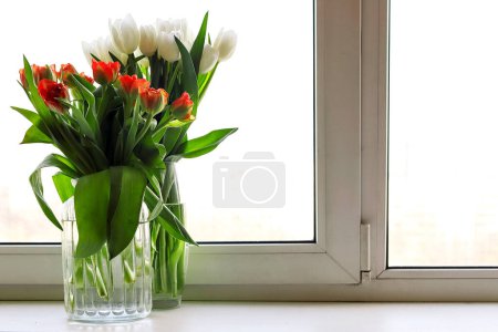 Téléchargez les photos : Bouquets de tulipes orange blanc dans des vases en verre - en image libre de droit