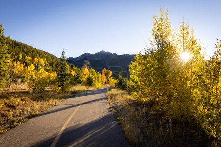 Téléchargez les photos : Velouté à vélo dans le feuillage d'automne en Colorado - en image libre de droit